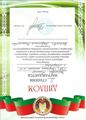 ДИПЛОМЫ (ИССЛЕДОВАТЕЛЬСКИЕ КОНКУРСЫ)